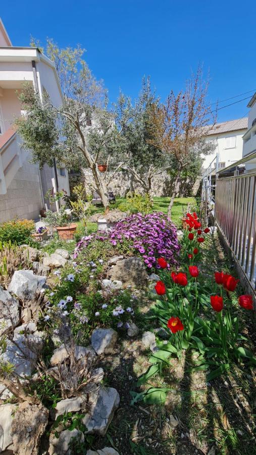 Apartmani Dami Novalja Εξωτερικό φωτογραφία
